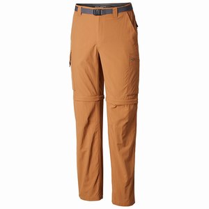 Columbia Pantalones Largos Silver Ridge™ Convertible Hombre Marrom (239HULRVW)